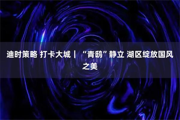 迪时策略 打卡大城｜ “青鸱”静立 湖区绽放国风之美